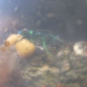 IMG_2288.jpg