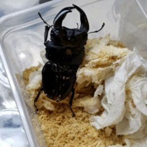20171217_144340_480x640_240x320.jpg
